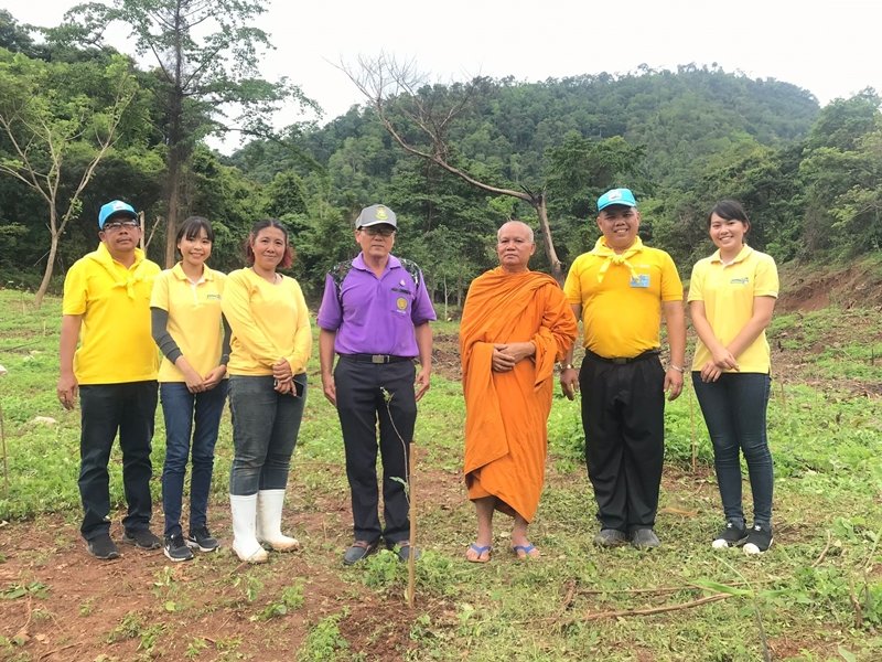 CMAN Afforested at Tham Nam Phu Community
